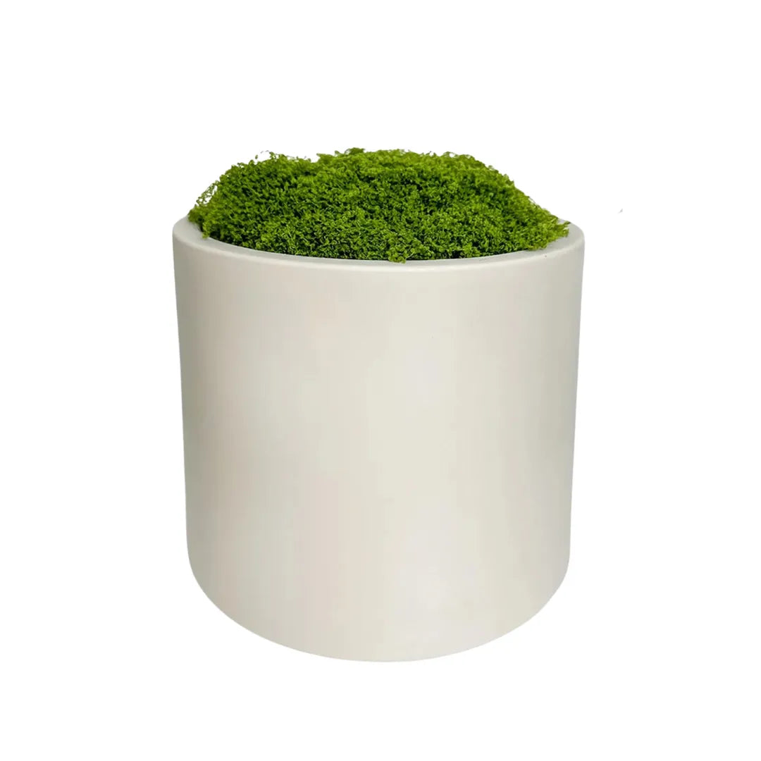 Vaso de Planta Cerâmica Branca Decorativo