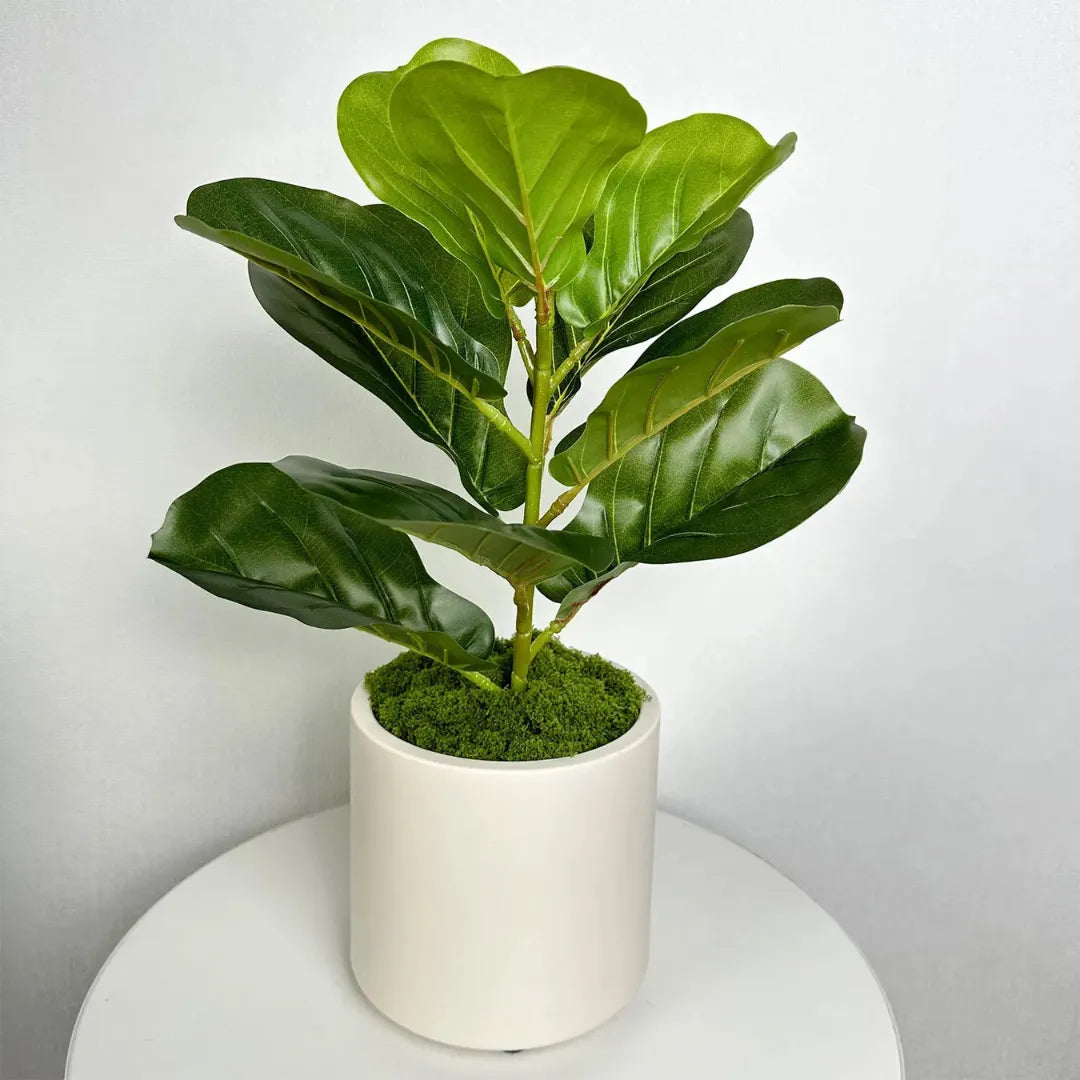 Vaso de Planta Cerâmica Branca Decorativo