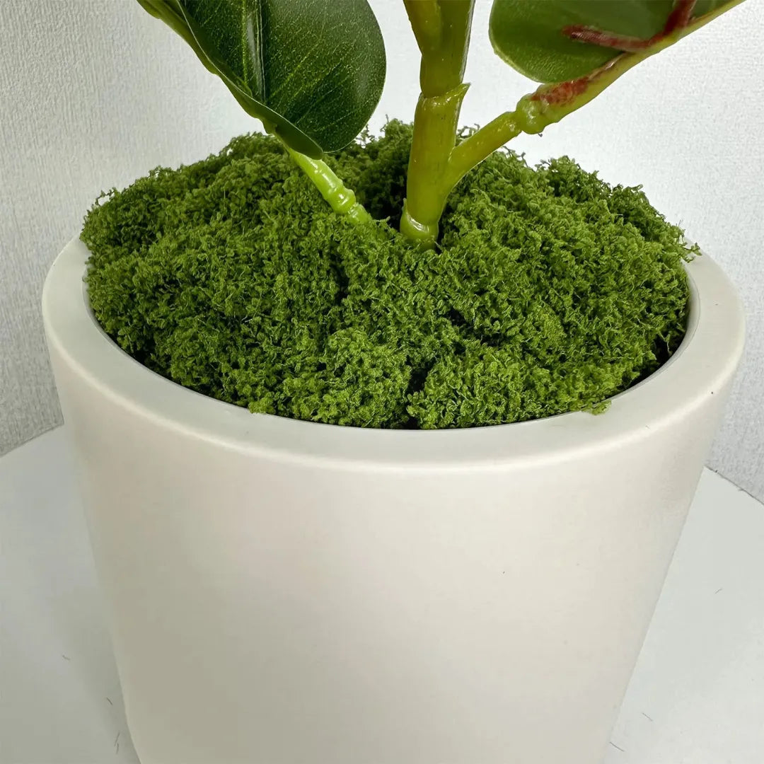 Vaso de Planta Cerâmica Branca Decorativo