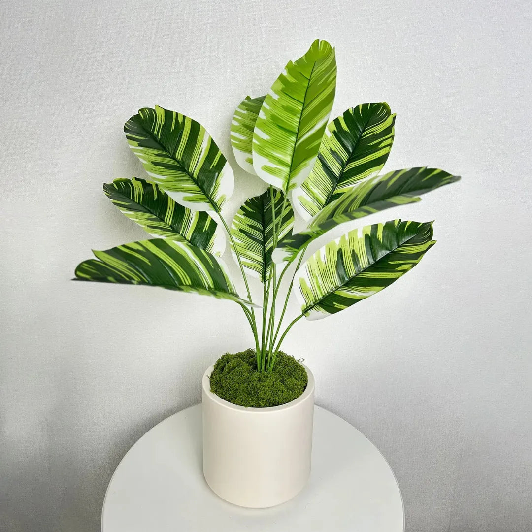 Vaso de Planta Cerâmica Branca Decorativo