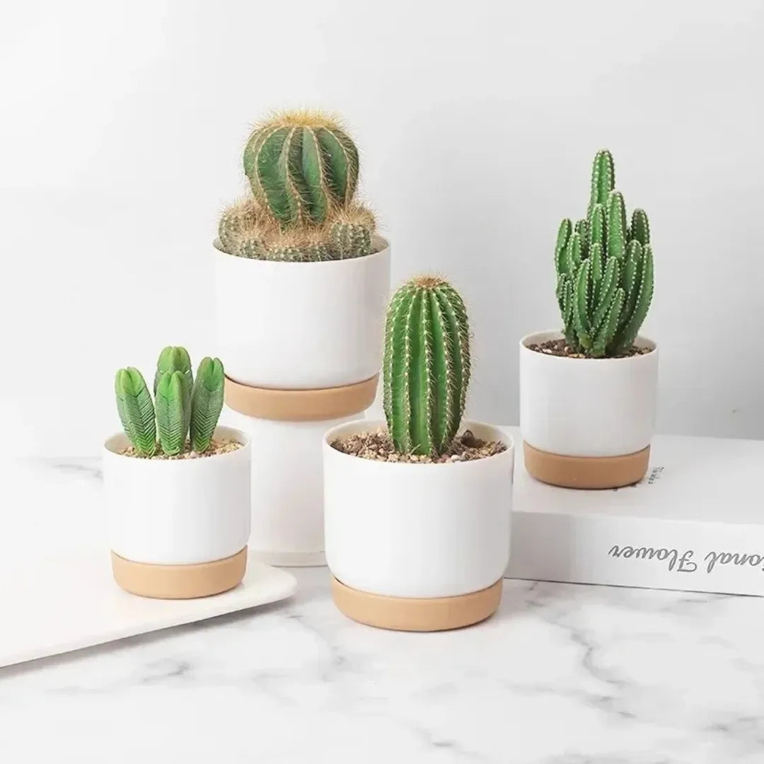 Vaso de Planta Dupla Camada Removível Pequeno