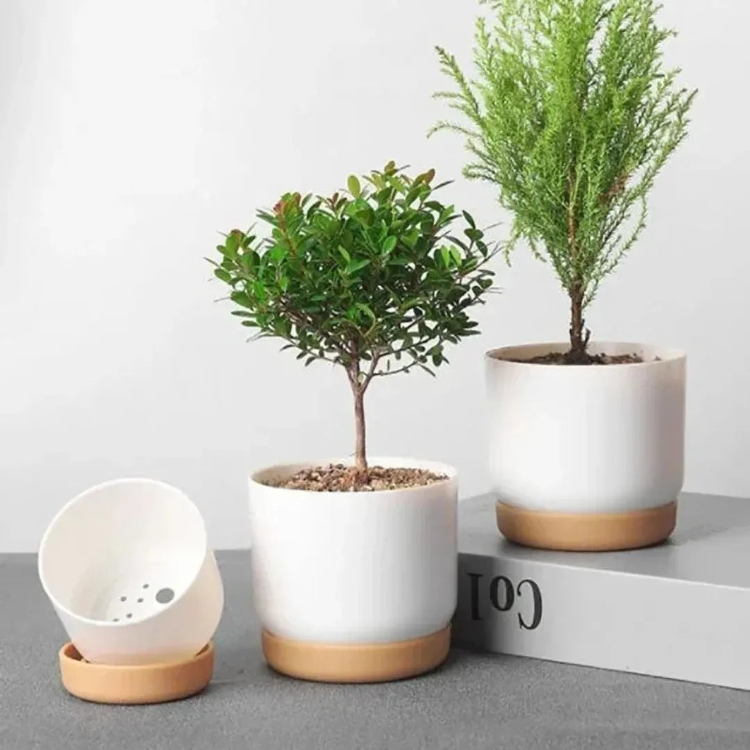 Vaso de Planta Dupla Camada Removível Pequeno