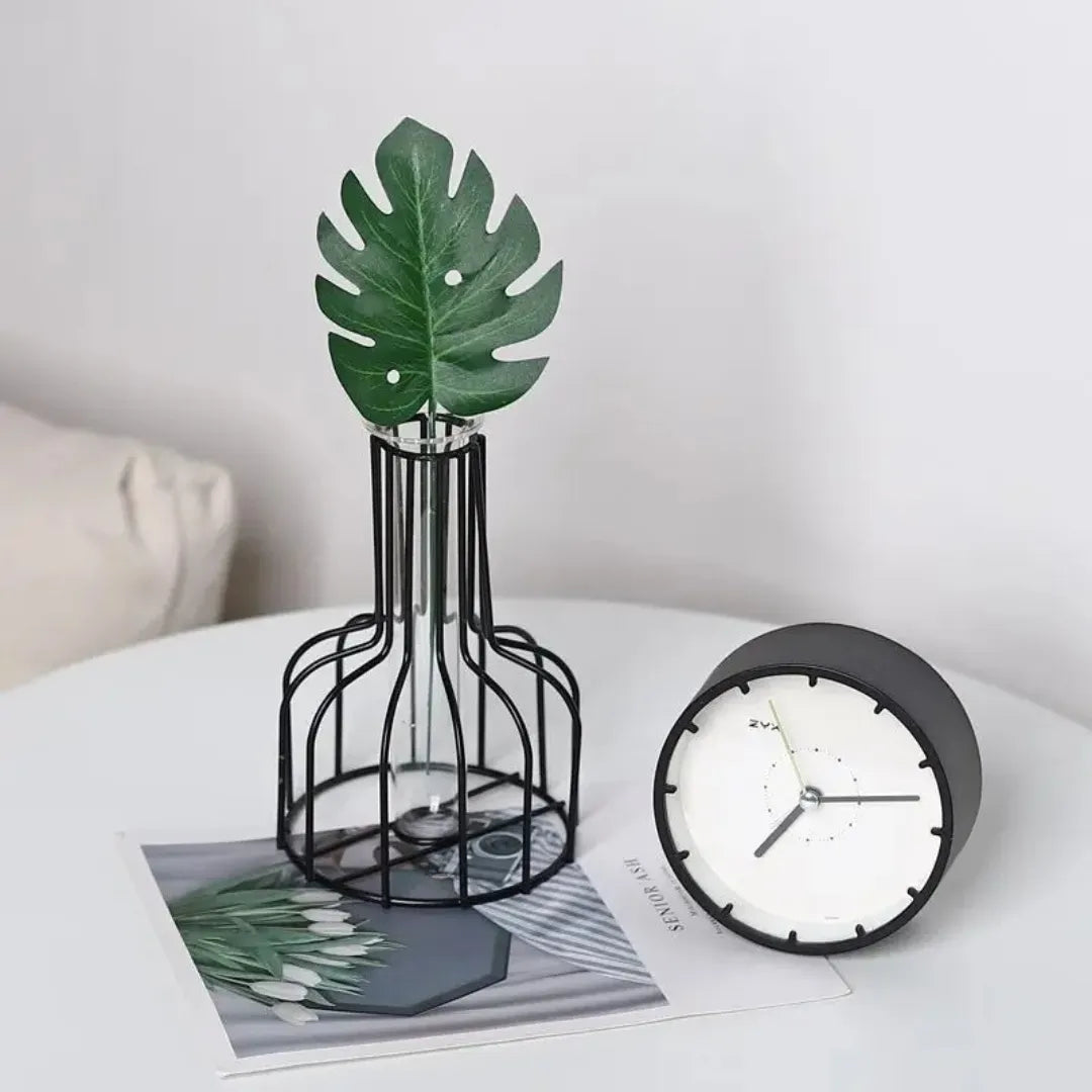 Vaso de Planta Hidropônico de Ferro para Decoração
