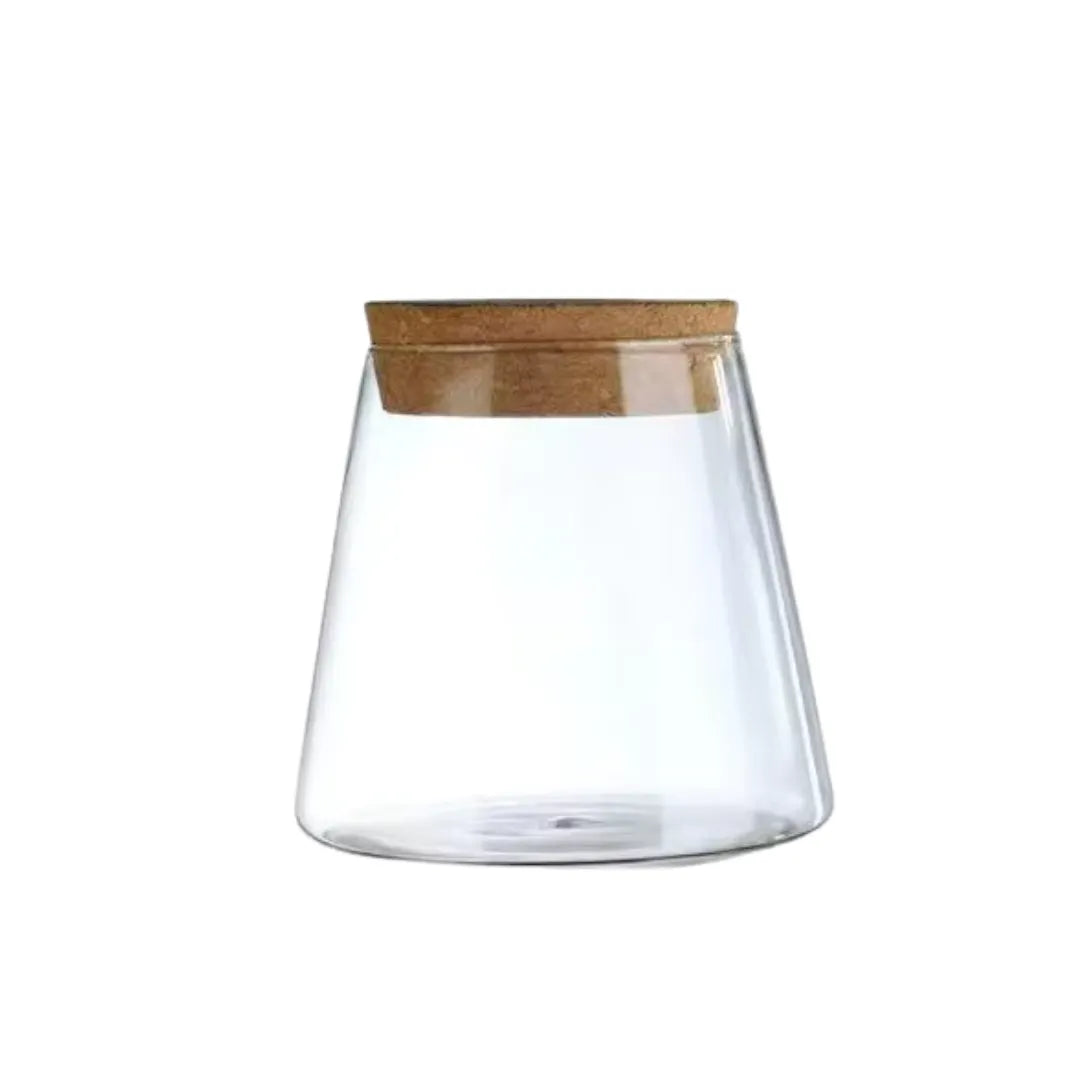 Vaso de Planta Hidropônico em Vidro
